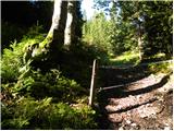 Ledine - Planina Klom